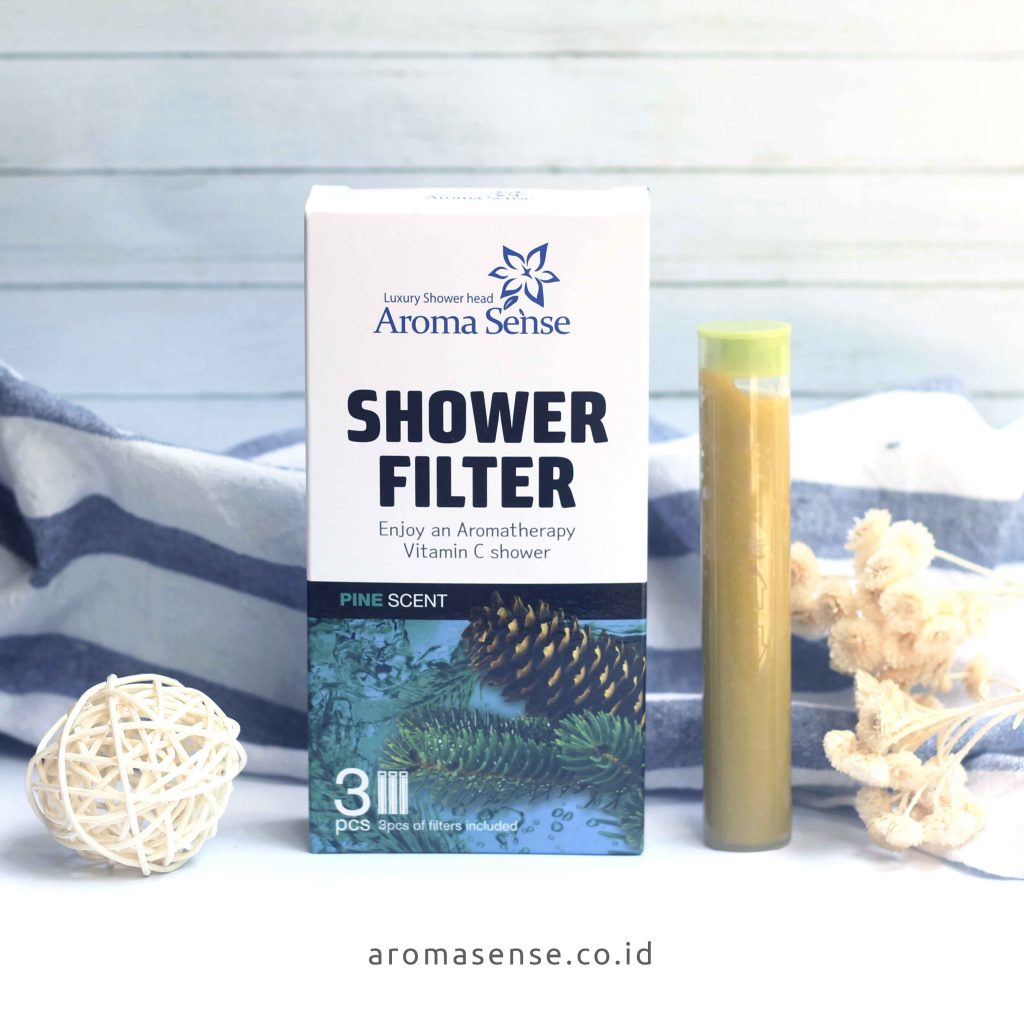 HANDHELD VITAMIN C CARTRIDGES (3 IN 1) PINE Aroma Sense Indonesia